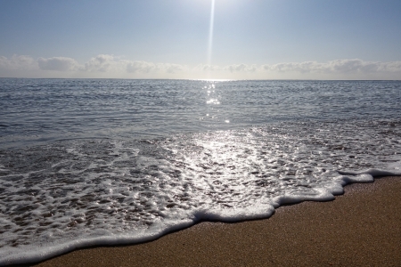 ella-bay-queensland-102