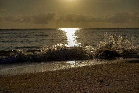 ella-bay-queensland-11