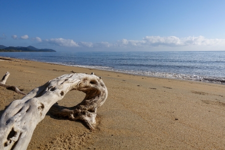 ella-bay-queensland-130