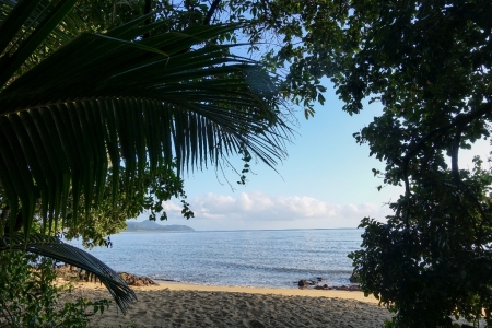 ella-bay-queensland-26