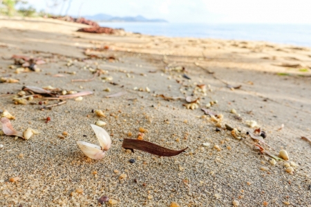 ella-bay-queensland-45