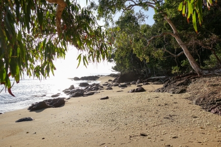 ella-bay-queensland-47