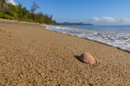 ella-bay-queensland-67