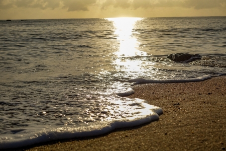 ella-bay-queensland-8